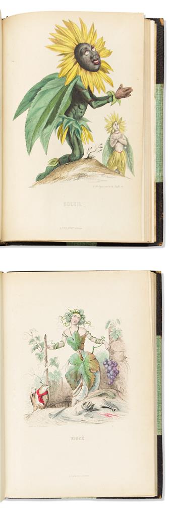 (ANTHROPOMORPHIC BOTANY.) J.J. Grandville. Les Fleurs Animees.